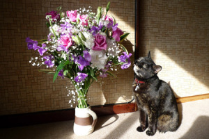花を食すシケルガイタ様 花を食すシケルガイタ様